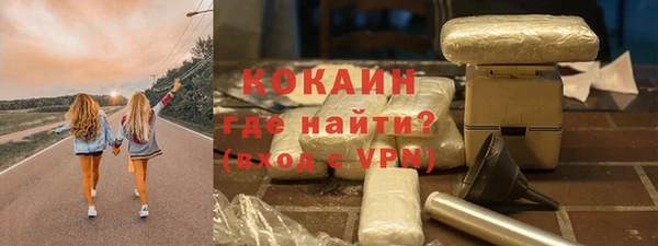 твердый Дмитриев