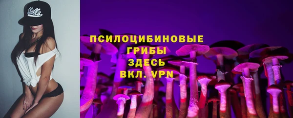 гашик Дмитровск