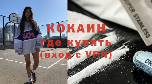 гашик Дмитровск