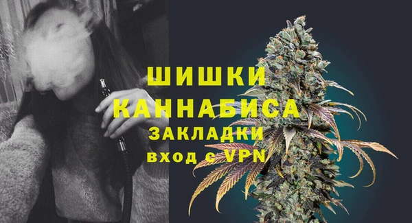 гашик Дмитровск