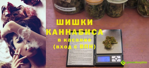 твердый Дмитриев