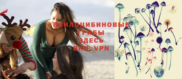 гашик Дмитровск
