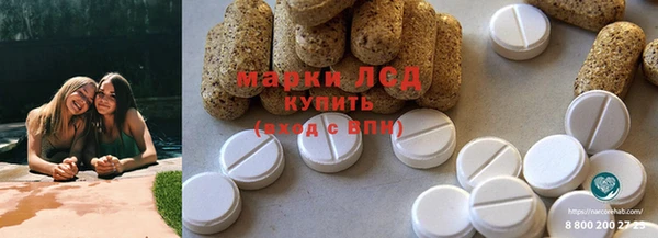 гашик Дмитровск