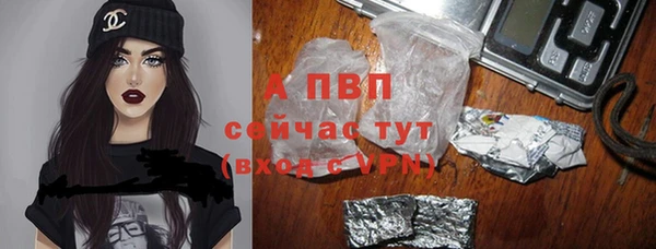 твердый Дмитриев