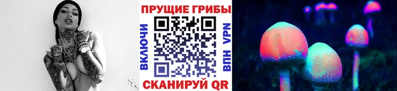 Купить где  Духовщина  Галлюциногенные грибы Psilocybine cubensis 